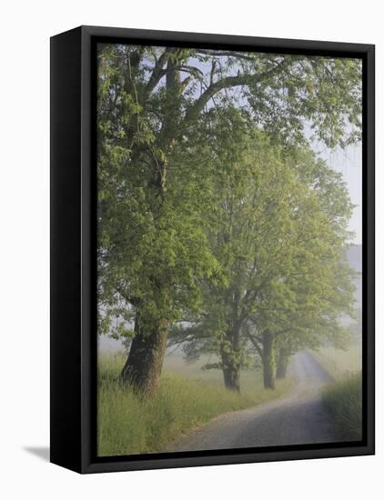 Hyatt Lane, Cades Cove, Great Smoky Mountains National Park, Tennessee, USA-Adam Jones-Framed Premier Image Canvas