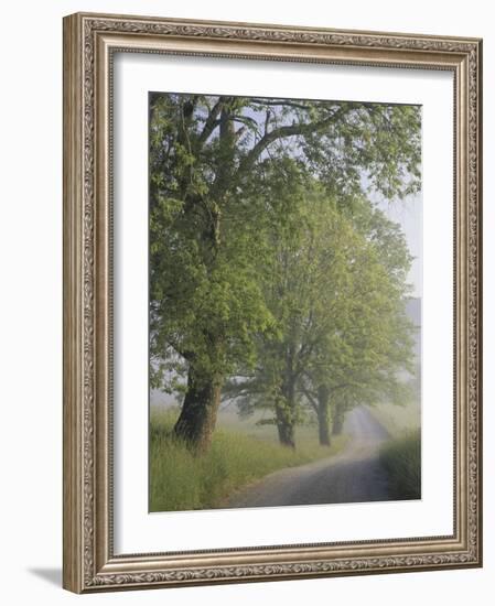 Hyatt Lane, Cades Cove, Great Smoky Mountains National Park, Tennessee, USA-Adam Jones-Framed Photographic Print