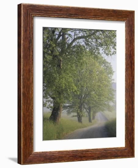 Hyatt Lane, Cades Cove, Great Smoky Mountains National Park, Tennessee, USA-Adam Jones-Framed Photographic Print