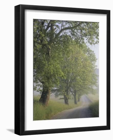Hyatt Lane, Cades Cove, Great Smoky Mountains National Park, Tennessee, USA-Adam Jones-Framed Photographic Print