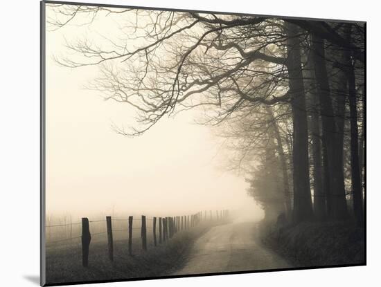 Hyatt Lane-Nicholas Bell-Mounted Photographic Print