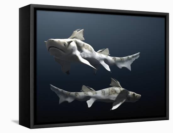 Hybodus Shark-Christian Darkin-Framed Premier Image Canvas