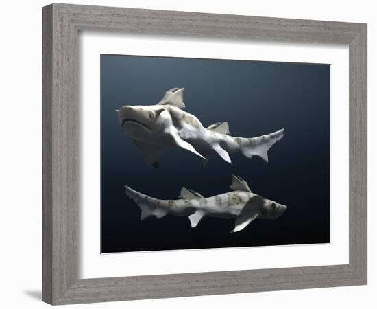 Hybodus Shark-Christian Darkin-Framed Photographic Print