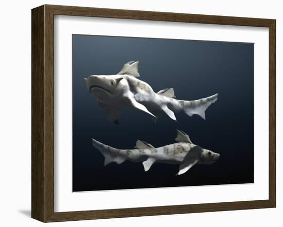 Hybodus Shark-Christian Darkin-Framed Photographic Print