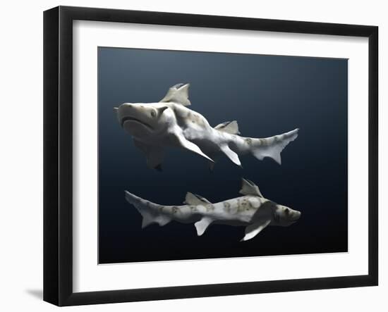 Hybodus Shark-Christian Darkin-Framed Photographic Print