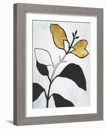 Hybrid Annuals I-Vanna Lam-Framed Art Print