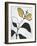 Hybrid Annuals I-Vanna Lam-Framed Art Print