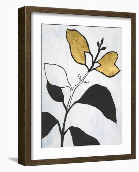 Hybrid Annuals I-Vanna Lam-Framed Art Print