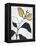 Hybrid Annuals I-Vanna Lam-Framed Stretched Canvas