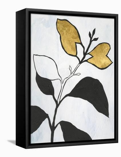 Hybrid Annuals I-Vanna Lam-Framed Stretched Canvas