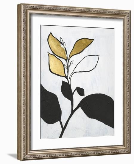 Hybrid Annuals II-Vanna Lam-Framed Art Print