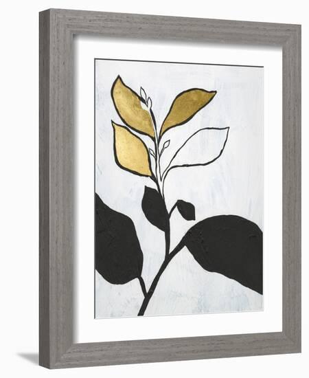 Hybrid Annuals II-Vanna Lam-Framed Art Print