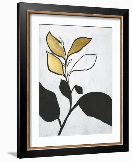 Hybrid Annuals II-Vanna Lam-Framed Art Print