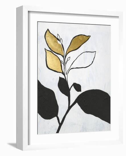 Hybrid Annuals II-Vanna Lam-Framed Art Print