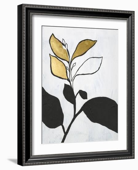 Hybrid Annuals II-Vanna Lam-Framed Art Print