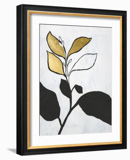 Hybrid Annuals II-Vanna Lam-Framed Art Print