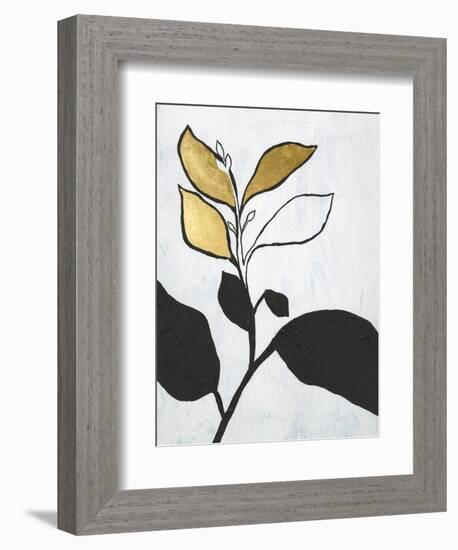 Hybrid Annuals II-Vanna Lam-Framed Premium Giclee Print