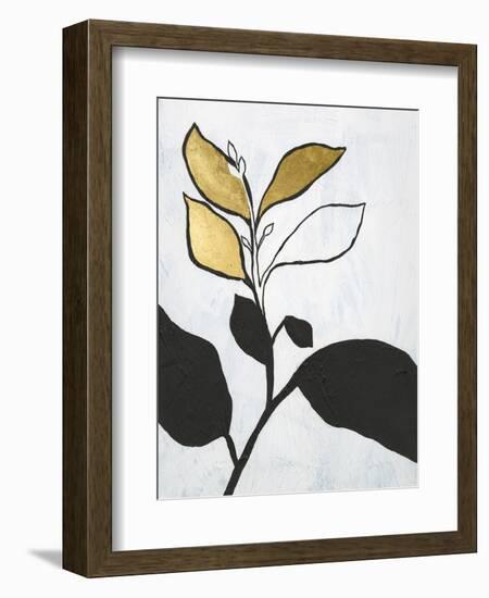 Hybrid Annuals II-Vanna Lam-Framed Premium Giclee Print