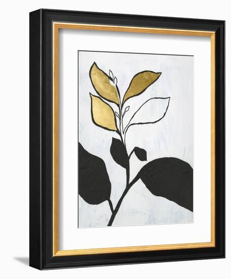 Hybrid Annuals II-Vanna Lam-Framed Premium Giclee Print