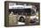 Hybrid Bus In Chicago-Mark Williamson-Framed Premier Image Canvas