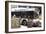 Hybrid Bus In Chicago-Mark Williamson-Framed Photographic Print