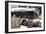 Hybrid Bus In Chicago-Mark Williamson-Framed Photographic Print