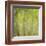 Hybrid Poplar Trees 2-Don Paulson-Framed Giclee Print