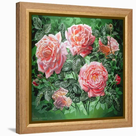 Hybrid Tea- Lyon Rose, 1982-Sandra Lawrence-Framed Premier Image Canvas