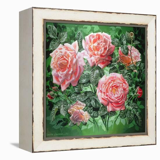 Hybrid Tea- Lyon Rose, 1982-Sandra Lawrence-Framed Premier Image Canvas