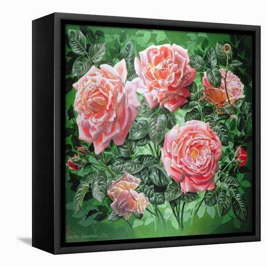 Hybrid Tea- Lyon Rose, 1982-Sandra Lawrence-Framed Premier Image Canvas