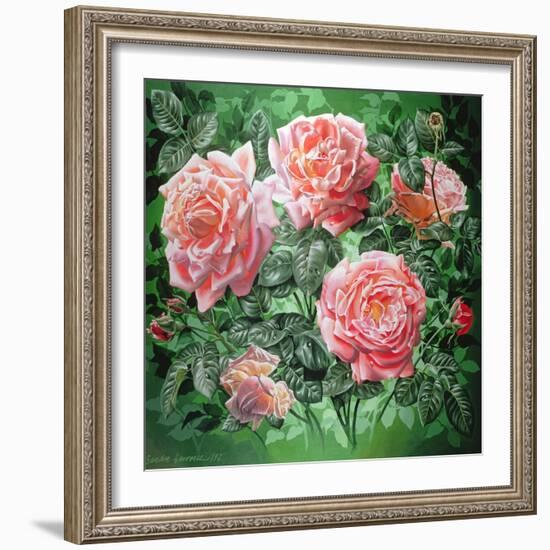 Hybrid Tea- Lyon Rose, 1982-Sandra Lawrence-Framed Giclee Print