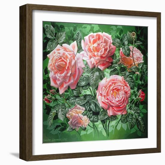 Hybrid Tea- Lyon Rose, 1982-Sandra Lawrence-Framed Giclee Print