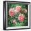 Hybrid Tea- Lyon Rose, 1982-Sandra Lawrence-Framed Giclee Print