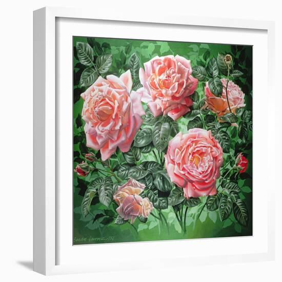 Hybrid Tea- Lyon Rose, 1982-Sandra Lawrence-Framed Giclee Print