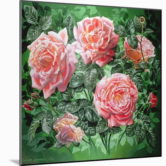 Hybrid Tea- Lyon Rose, 1982-Sandra Lawrence-Mounted Giclee Print