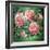 Hybrid Tea- Lyon Rose, 1982-Sandra Lawrence-Framed Giclee Print