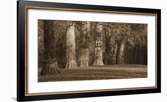 Hyde Park Afternoon I-Boyce Watt-Framed Giclee Print