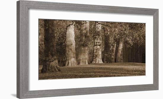 Hyde Park Afternoon I-Boyce Watt-Framed Giclee Print