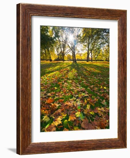 Hyde Park in Autumn, London, England, United Kingdom, Europe-Alan Copson-Framed Photographic Print