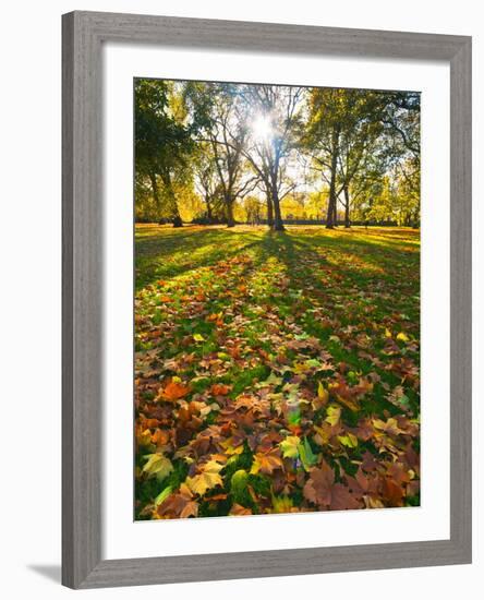 Hyde Park in Autumn, London, England, United Kingdom, Europe-Alan Copson-Framed Photographic Print