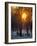 Hyde Park in Winter, London, England, United Kingdom-Adam Woolfitt-Framed Photographic Print