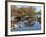 Hyde Park Neighborhood, Osaka Japanese Garden in Jackson Park, Chicago, Illinois, Usa-Alan Klehr-Framed Photographic Print