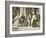 Hyde Park, New York. from Left: Mrs Roosevelt, King George Vi, Mrs James Roosevelt-null-Framed Giclee Print