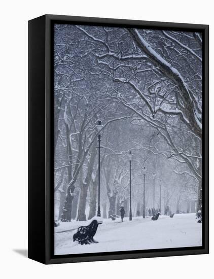 Hyde Park Snow Scene, London, England, UK-Neil Farrin-Framed Premier Image Canvas