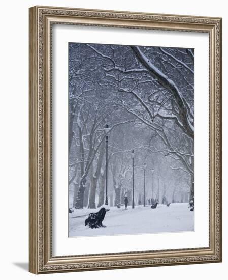 Hyde Park Snow Scene, London, England, UK-Neil Farrin-Framed Photographic Print