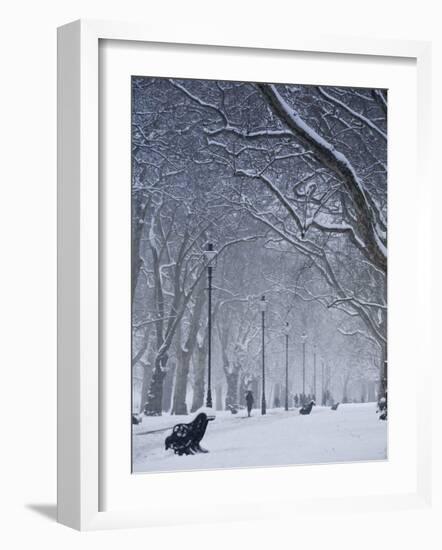 Hyde Park Snow Scene, London, England, UK-Neil Farrin-Framed Photographic Print