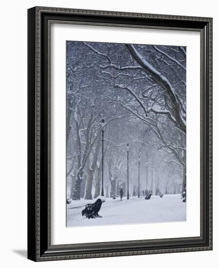 Hyde Park Snow Scene, London, England, UK-Neil Farrin-Framed Photographic Print