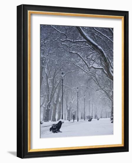 Hyde Park Snow Scene, London, England, UK-Neil Farrin-Framed Photographic Print