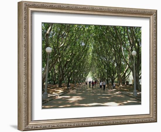 Hyde Park, Sydney, New South Wales, Australia, Pacific-Neale Clarke-Framed Photographic Print