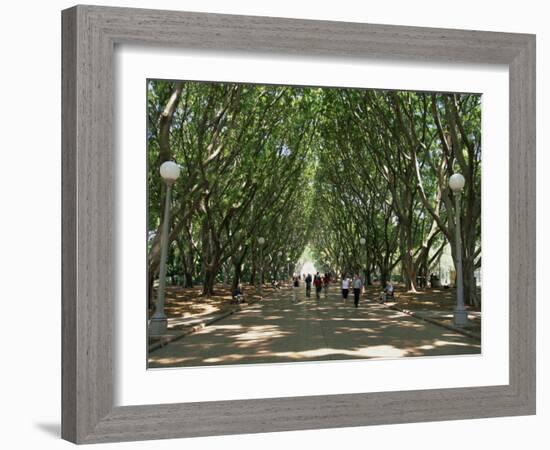 Hyde Park, Sydney, New South Wales, Australia, Pacific-Neale Clarke-Framed Photographic Print